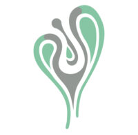 Logo der Kiel Medical Academy